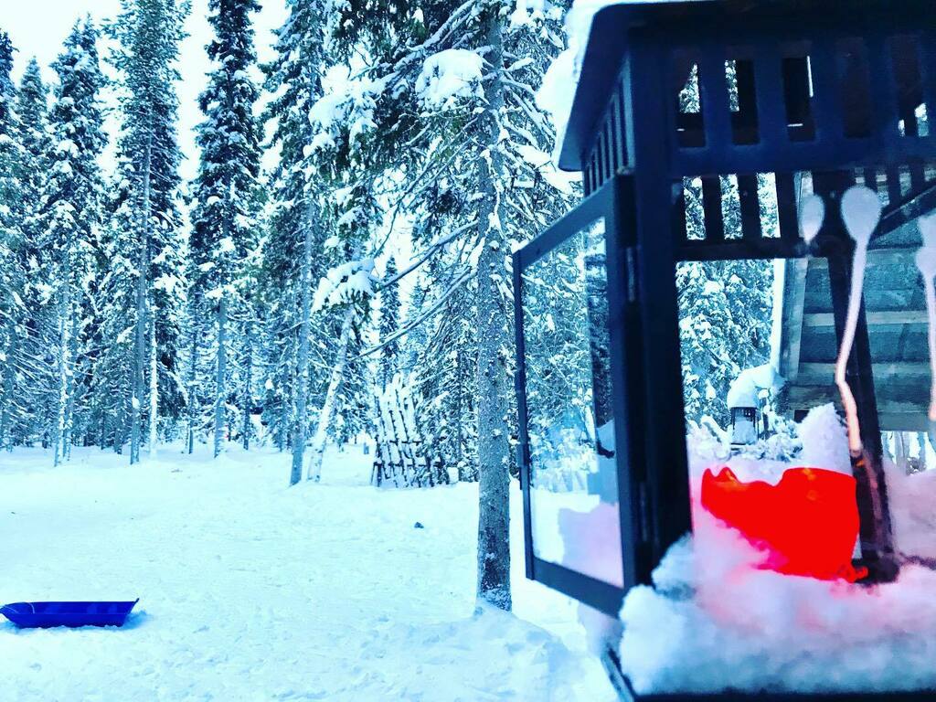 DiscreteDeceit2's tweet photo. Stunning #lapland, #sleddog rides, #reindeersleigh , #northernlights, amazing hospitality and, of course, #snow. https://t.co/UMddX4YidV https://t.co/21PcatTkns