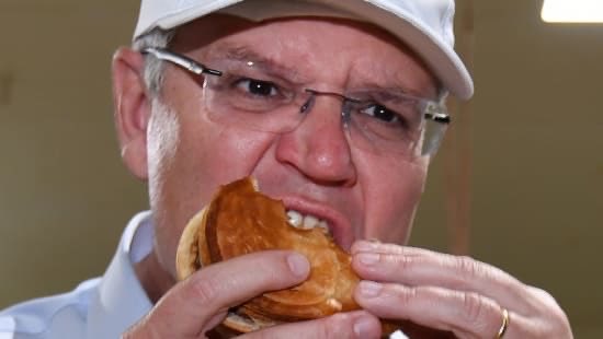 CaraMia200's tweet photo. @johnny_doe2010 @last_jones #ScottyTheLiar’s body betrays the lie.
Why does he bother?#FFS. He’s getting worse as his
desperation rises. He’s verging on the pitiful, now.#ScottyFromPhotoOps #Auspol #LNPImploding https://t.co/8svtSlJdOl