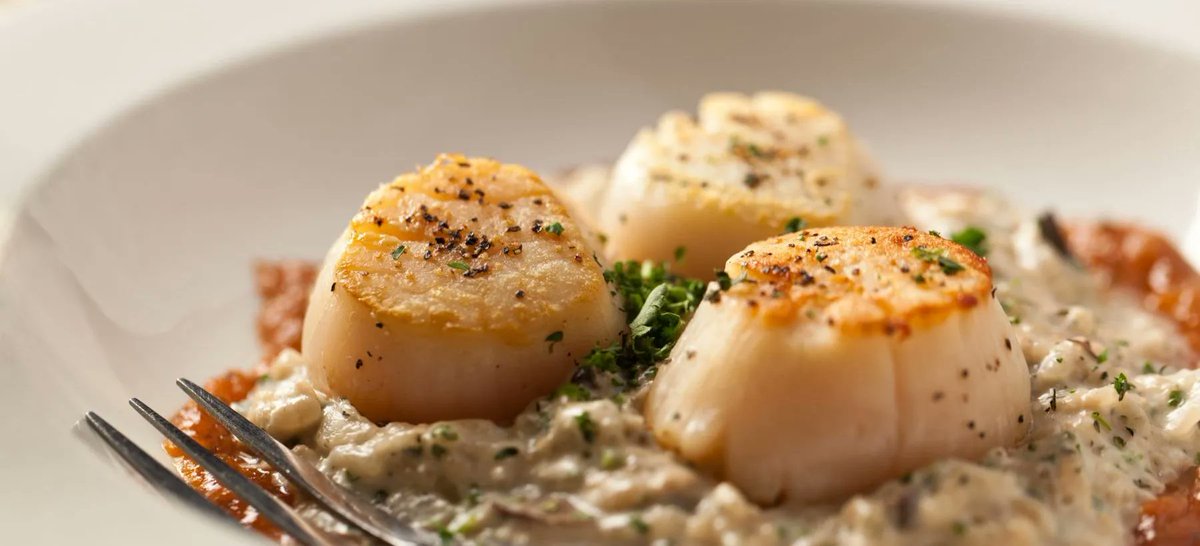 We Know the Best Restaurants in Hocking Hills! buff.ly/3CAM0TC