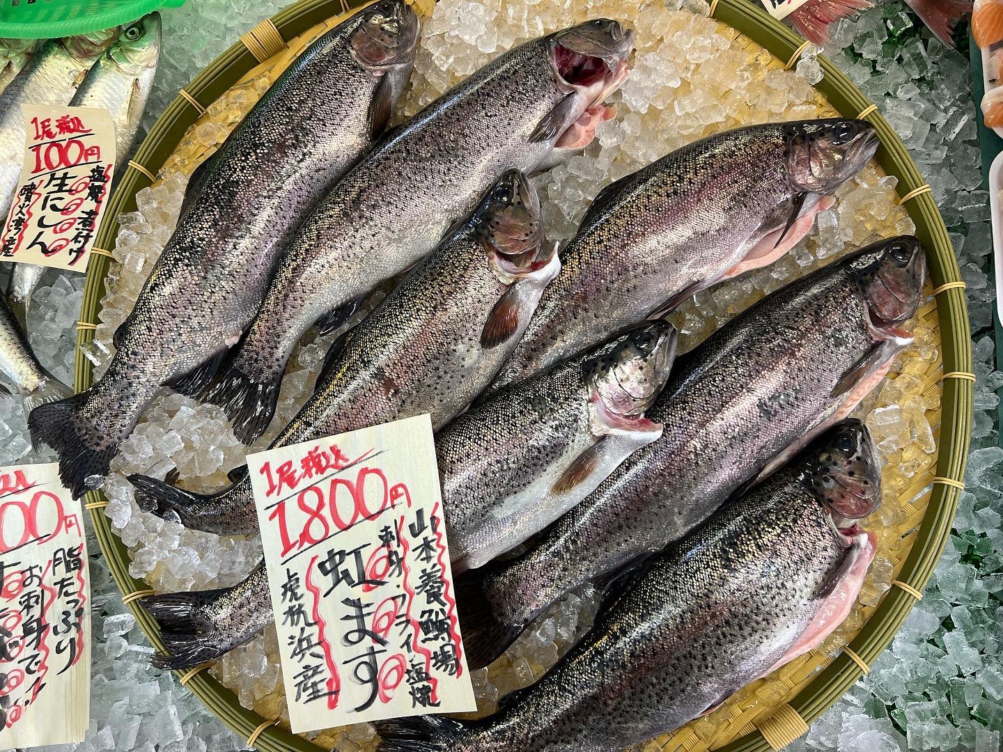 まるせん木村屋 まるせん木村屋です 本日のおすすめです 山本養鱒場 虎杖浜産 ニジマス 1尾 1800円 倶多楽湖の湧水で育ったニジマス 身のしまりが良く 程よい脂でとっても美味しいです 刺身 フライ 塩焼き あら汁に オホーツク海産 訳