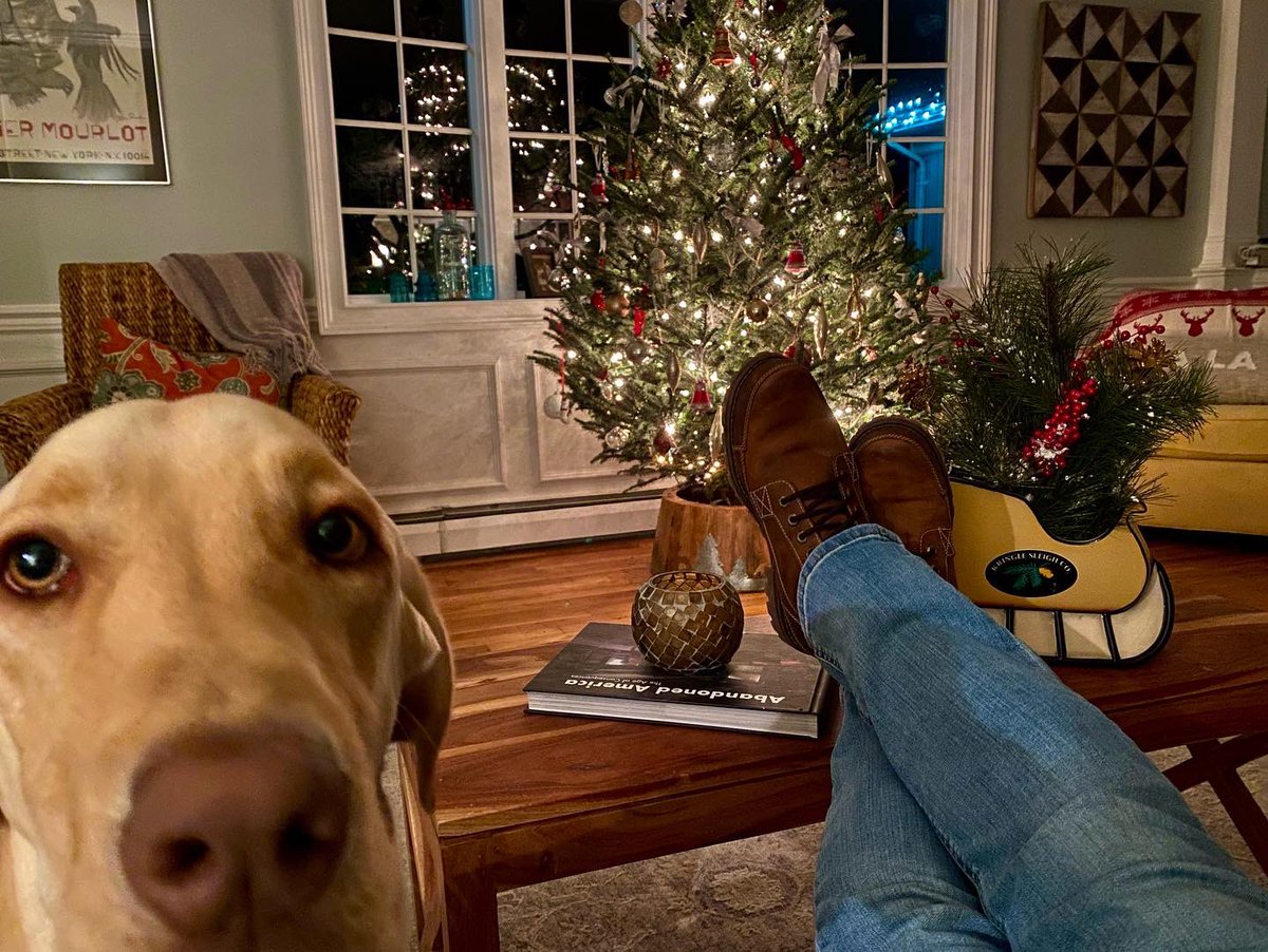 fa la la 🎄 #dudleylab #ChristmasTree #decorations