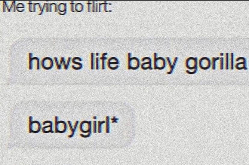 WholesomeMeme's tweet image. 