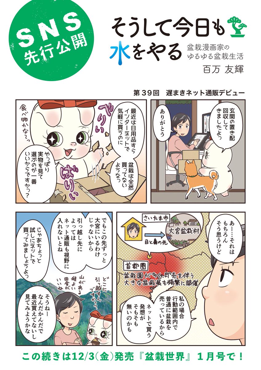 【盆栽世界1月号予告】
樹と共に暮らす生活を提案する盆栽専門誌『盆栽世界』最新号は12/3(金)発売済み!
今回の #水やる は「盆栽ネット通販」。興味はあるけど実際どうなの?と思ってる方はぜひ。
本誌特集は「小品盆栽いろとりどりな楽しみ方」。盆栽との付き合い方が見られる特集大好きです。 