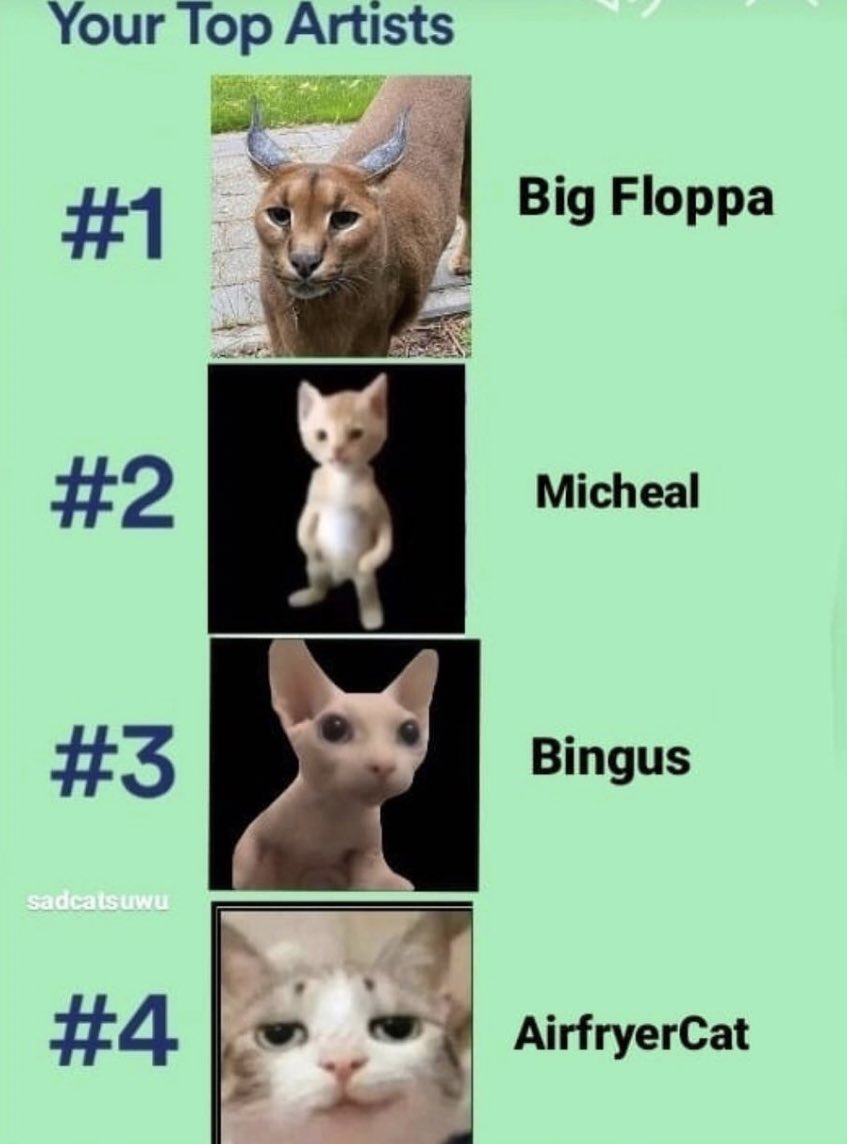 2 floppa memes : r/Floppa
