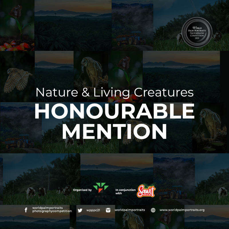 Congratulations to the deserving participants of the Nature &amp; Living Creatures Honourable Mentions! #palmportraits #palmportraits2021 #wpppc #wpppc2021 #worldpalmportraits #photographycompetition #sawit #sawitanugerahtuhan #sawitdivineblessing