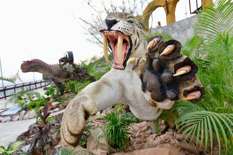 mrikelme's tweet photo. 🦕 Mañana 5 de diciembre es el último día para visitar la #ExposiciónDeDinosaurios del #PuertoNoas. ¡No te la pierdas! Ya estamos trabajando con el Museo del Desierto en nuevos proyectos que puedan quedarse de manera permanente. https://t.co/FqZzXoyWyy