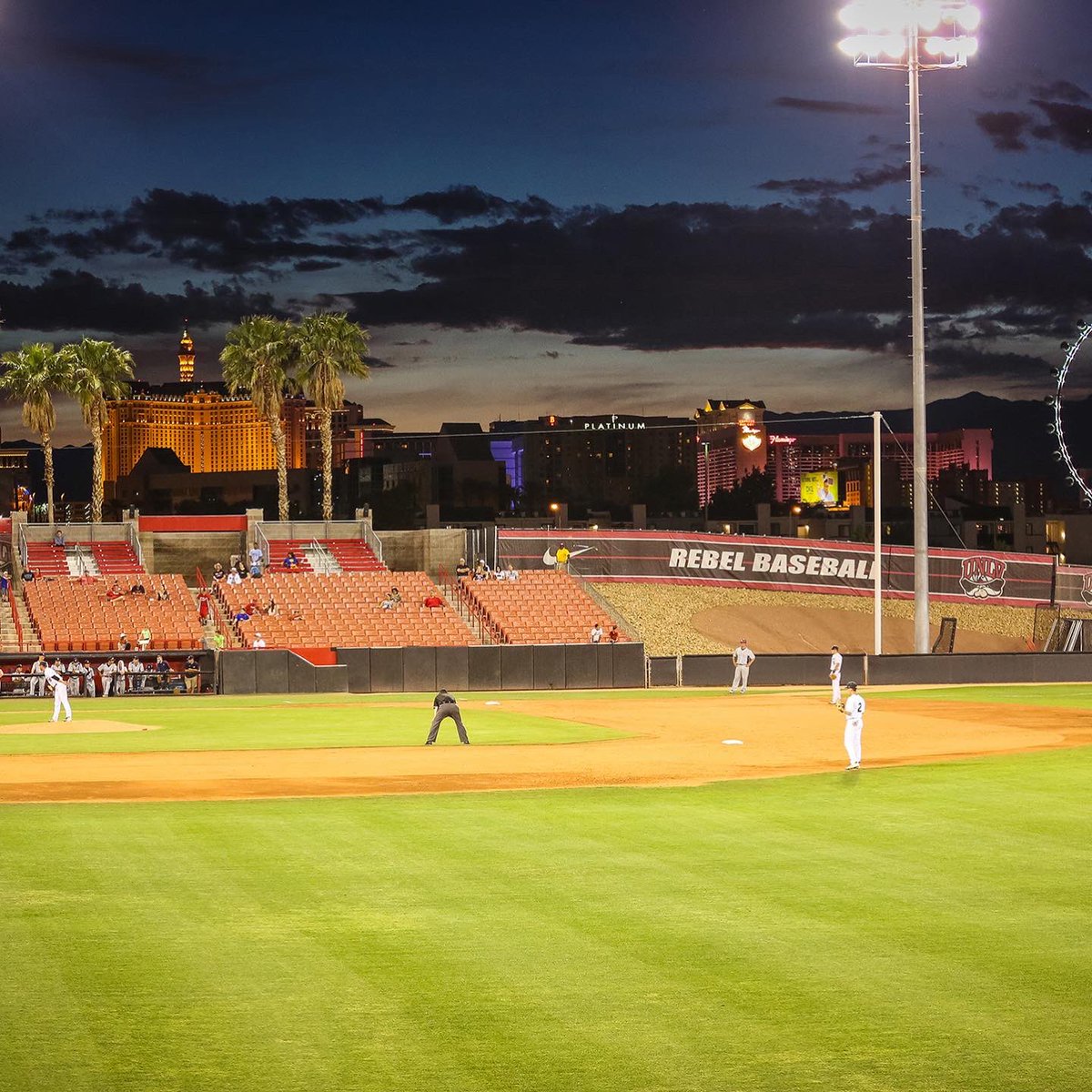 Dylan Rogers tweet media