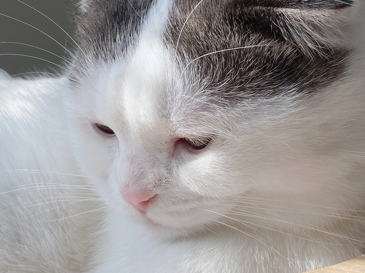 ขอแบบละมุลๆ เหมือนพี่โก๋นะแม่