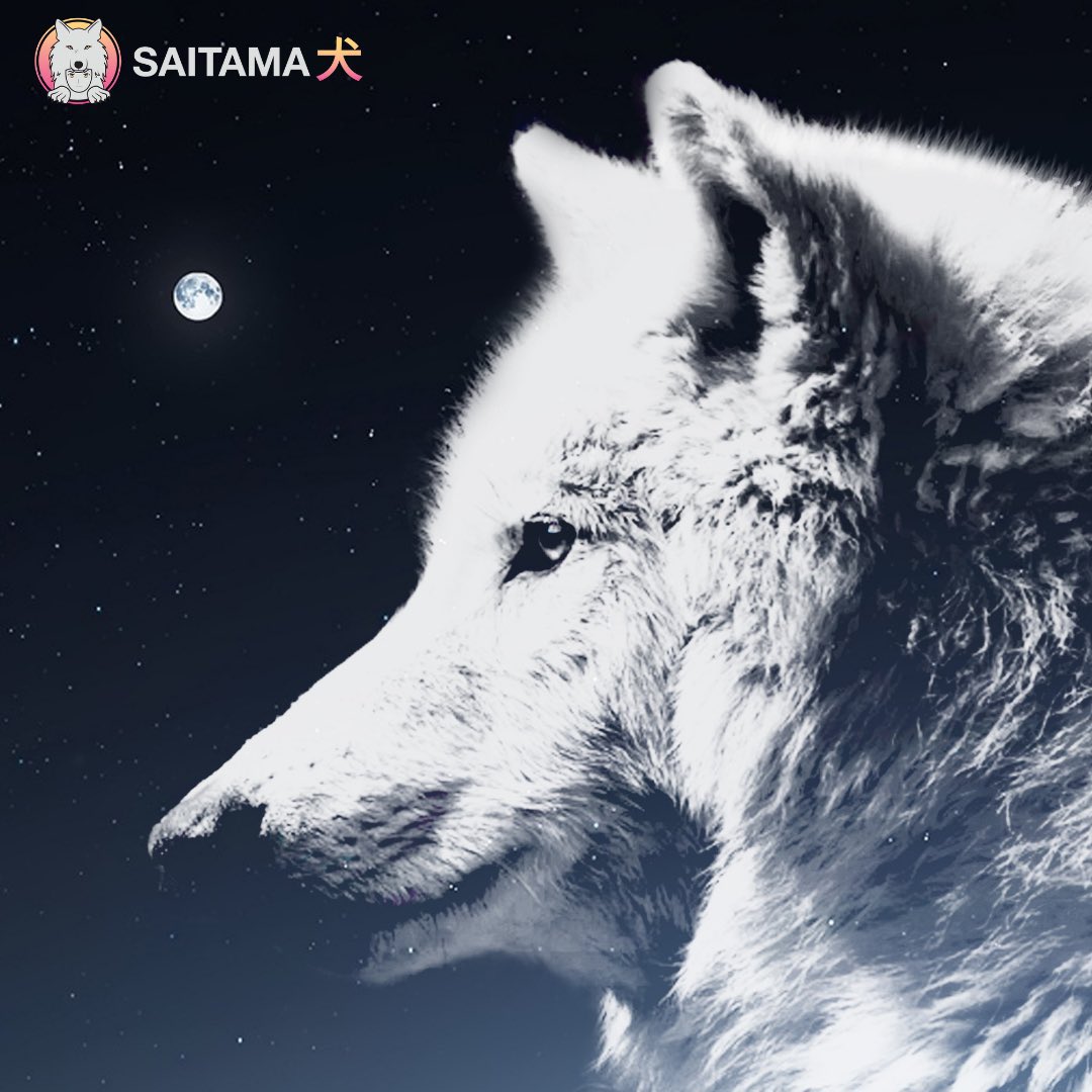 Benny_Booms's tweet photo. #SaitamaWolfPack eating that dip like it’s nothing 👌🏼🚀🐺

Trending #1 on Dextools 💎

#Saitama #crypto https://t.co/F8tqy1xOFp