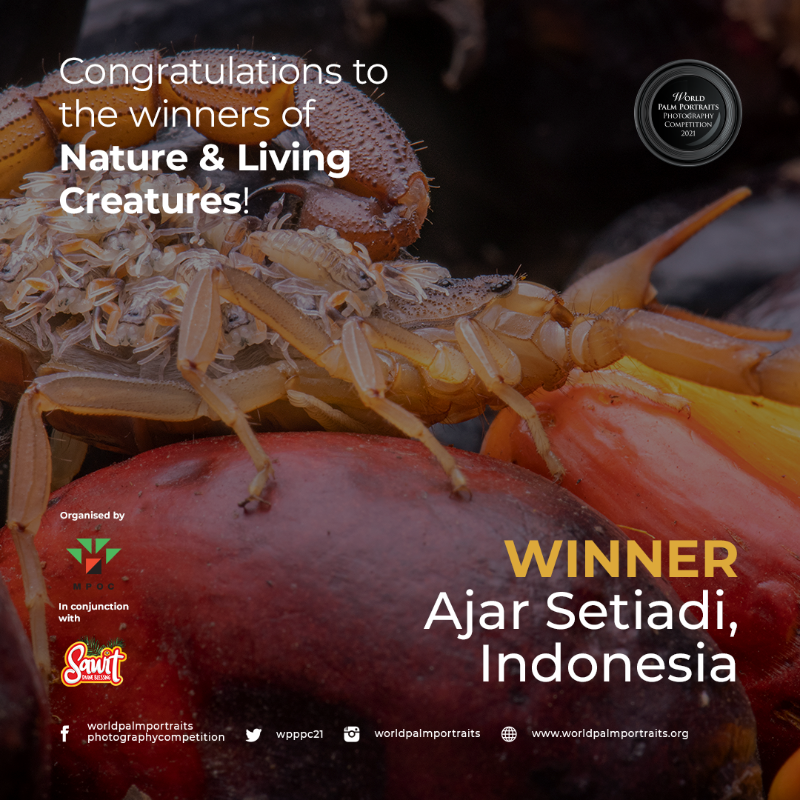We are truly overjoyed to announce that this winning photo by Ajar Setiadi deserves to be the champion as the image magnificently captured the beauty of Nature &amp; Living Creatures.