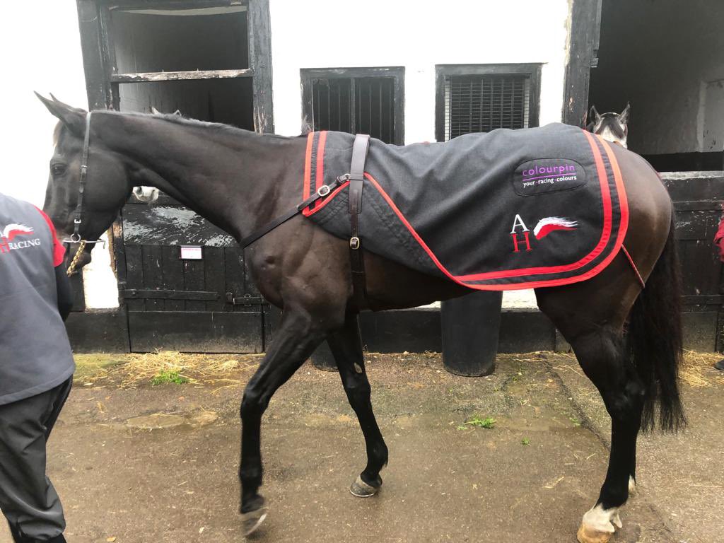 Colourpin1's tweet photo. We had a wonderful morning meeting all the horses and enjoying a glass of fizz with everyone. We are looking forward to meeting you all over the coming year and to many more wins for Alice🍾 https://t.co/aNwhLN5Jvq