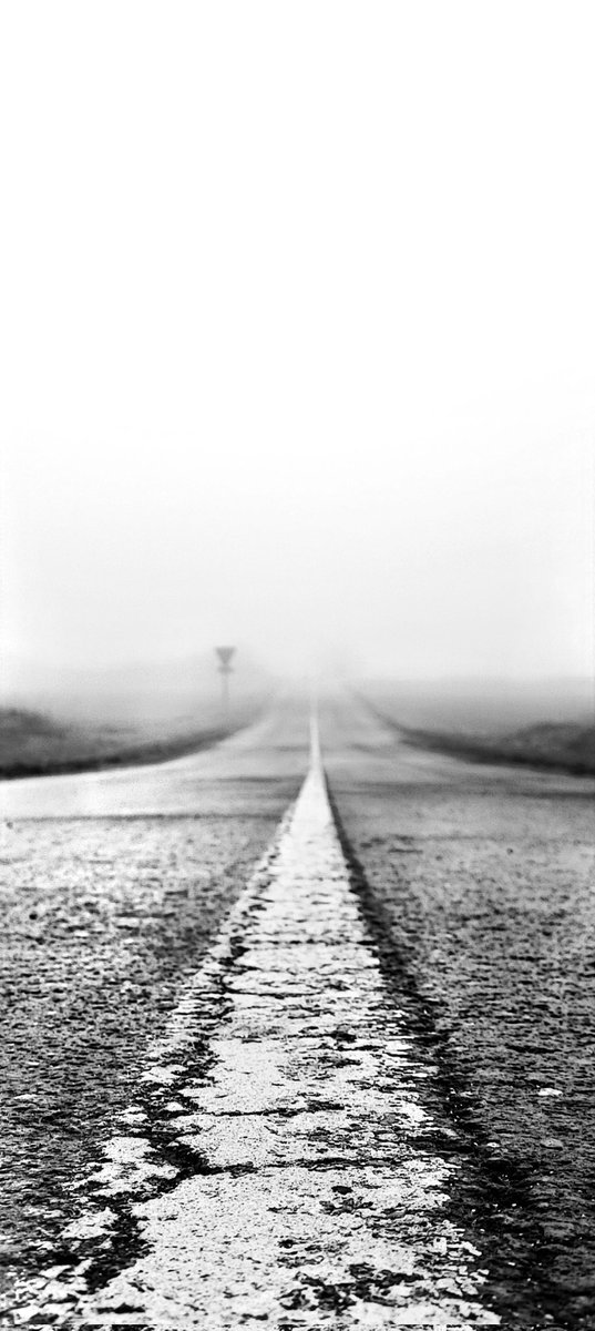 aitorfoto's tweet photo. La Niebla... #arfoto #aitorramos #alava #niebla https://t.co/hhRge6anW0