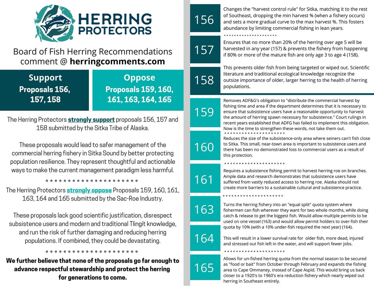 StandUpAK's tweet image. Let's get educated about #Herring to #ProtectTheHerring #ProtectOurFish

1. Visit herringcomments.com
2. Choose Southeast - Comments due 12/22/2021
3. Complete the form with your contact info and comment
4. Click 'Submit Comment'