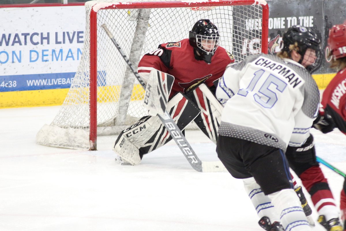 T1EHL's tweet photo. #T1EHL - Game Highlights from #PhoenixShowcase - @2005Tire @FuryAAAHockey @JrCoyotes @RampageTier1 @AAABlues @COTbirds https://t.co/qSnc3tbLZs