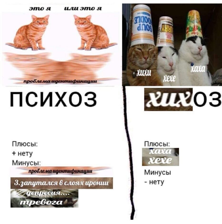 smokedCherry's tweet photo. мой диагноз https://t.co/ZKgXRNScrF