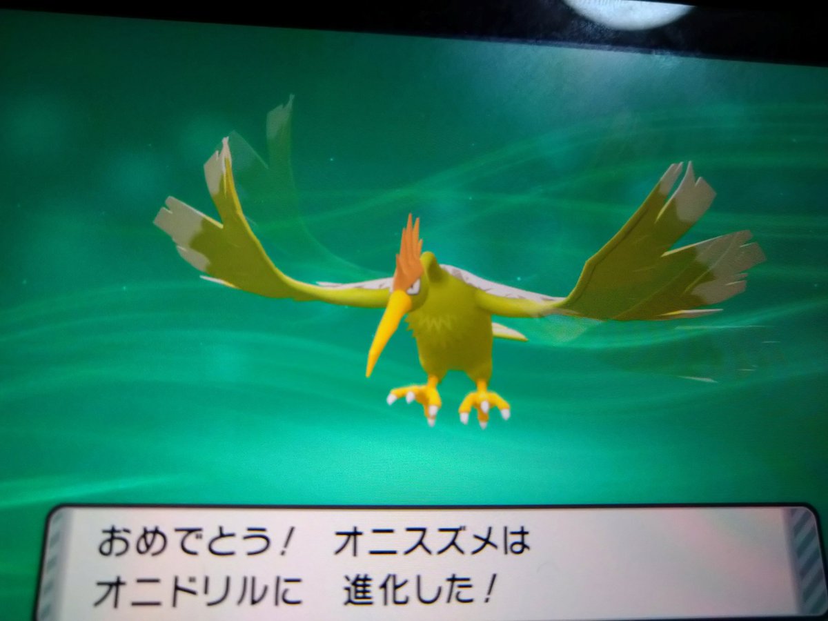 桜 リオ 東方ネタツイ オリキャラ ポケモンダイパリメイク 色違いのオニスズメゲット 進化させて色違いオニドリルにしました 通常と違って全体が抹茶っぽい色になってて クチバシが白 橙になってます T Co Xu6ud1ukgz Twitter