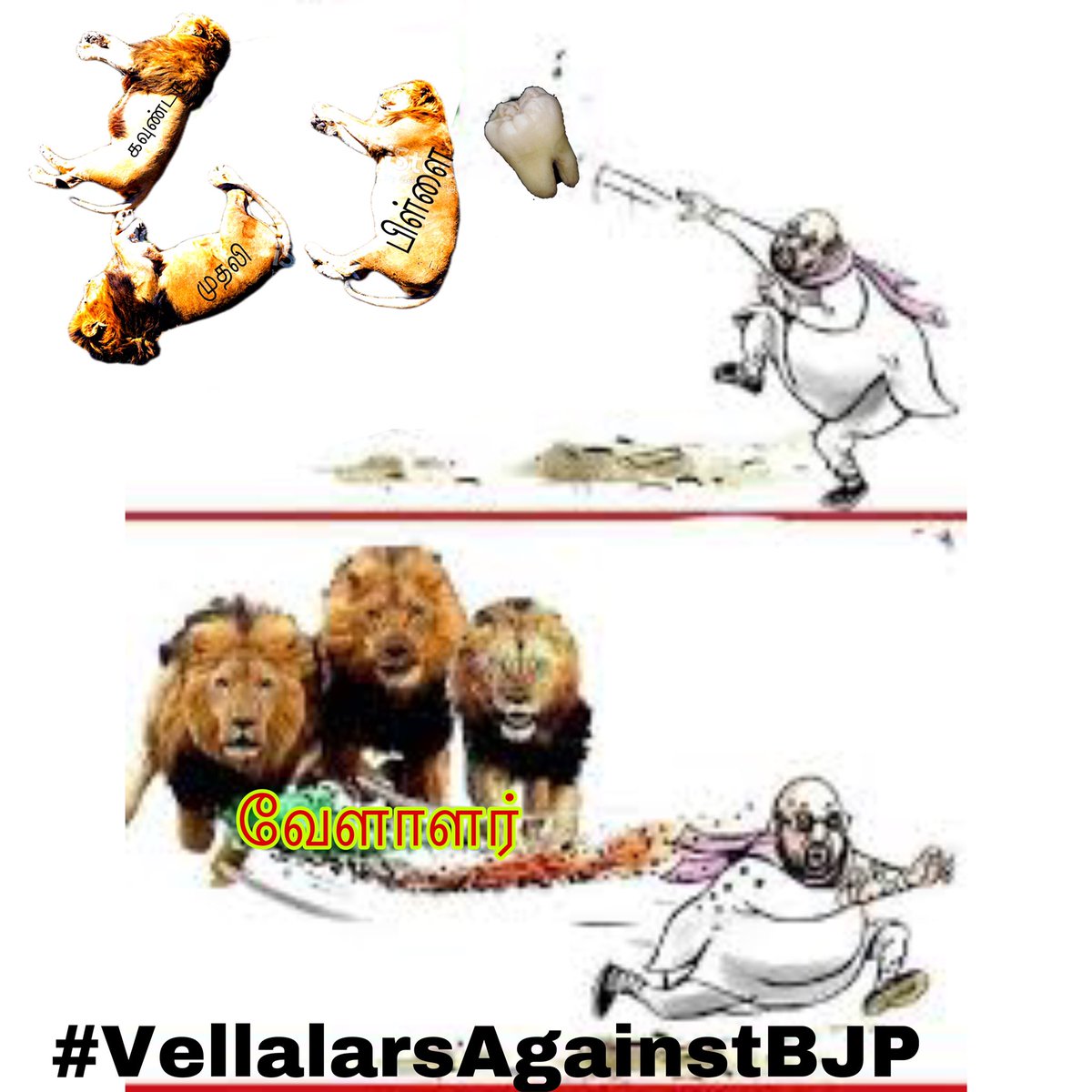 vellalarempires's tweet photo. #KONGUNADU_AGAINST_BJP 

வேளாளர் ஒற்றுமையே பலம் https://t.co/pSNEAMCJJS