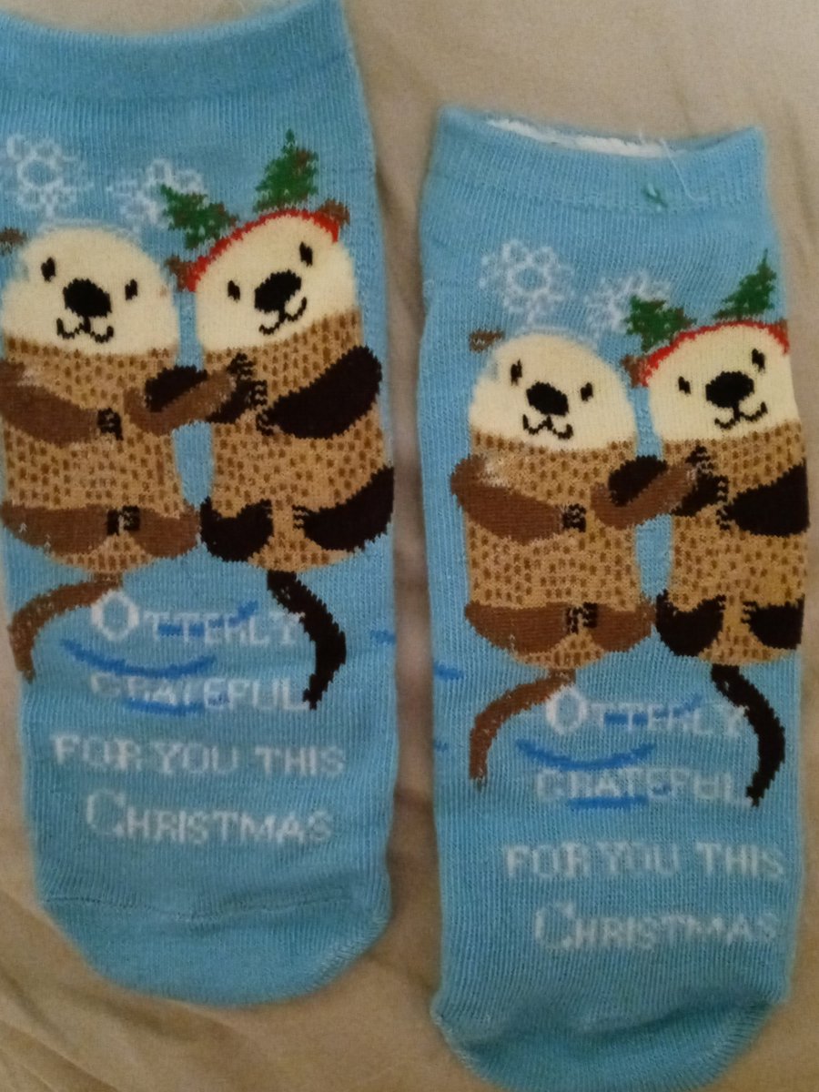 jztkddng's tweet photo. Today's Christmas socks. These are so adorable, love them! 'Otterly grateful'. #12DaysofSocks https://t.co/q4ktCs4OKd