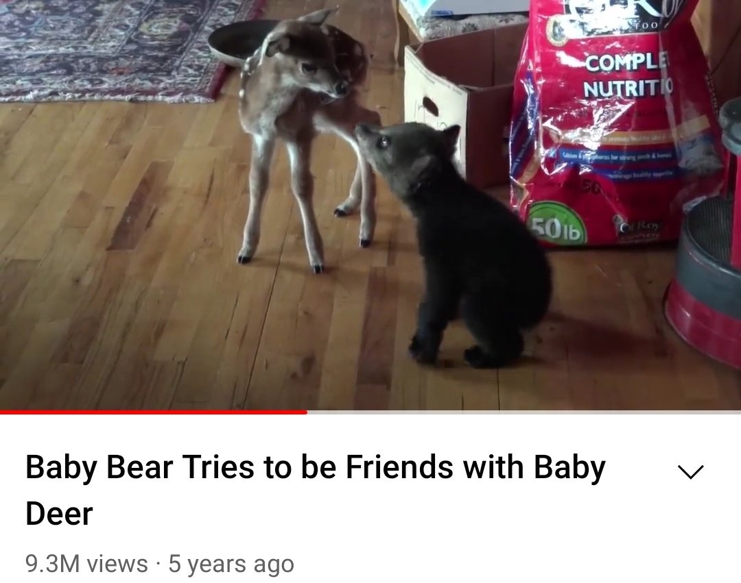its them... Joshua deer Beomgyu bear