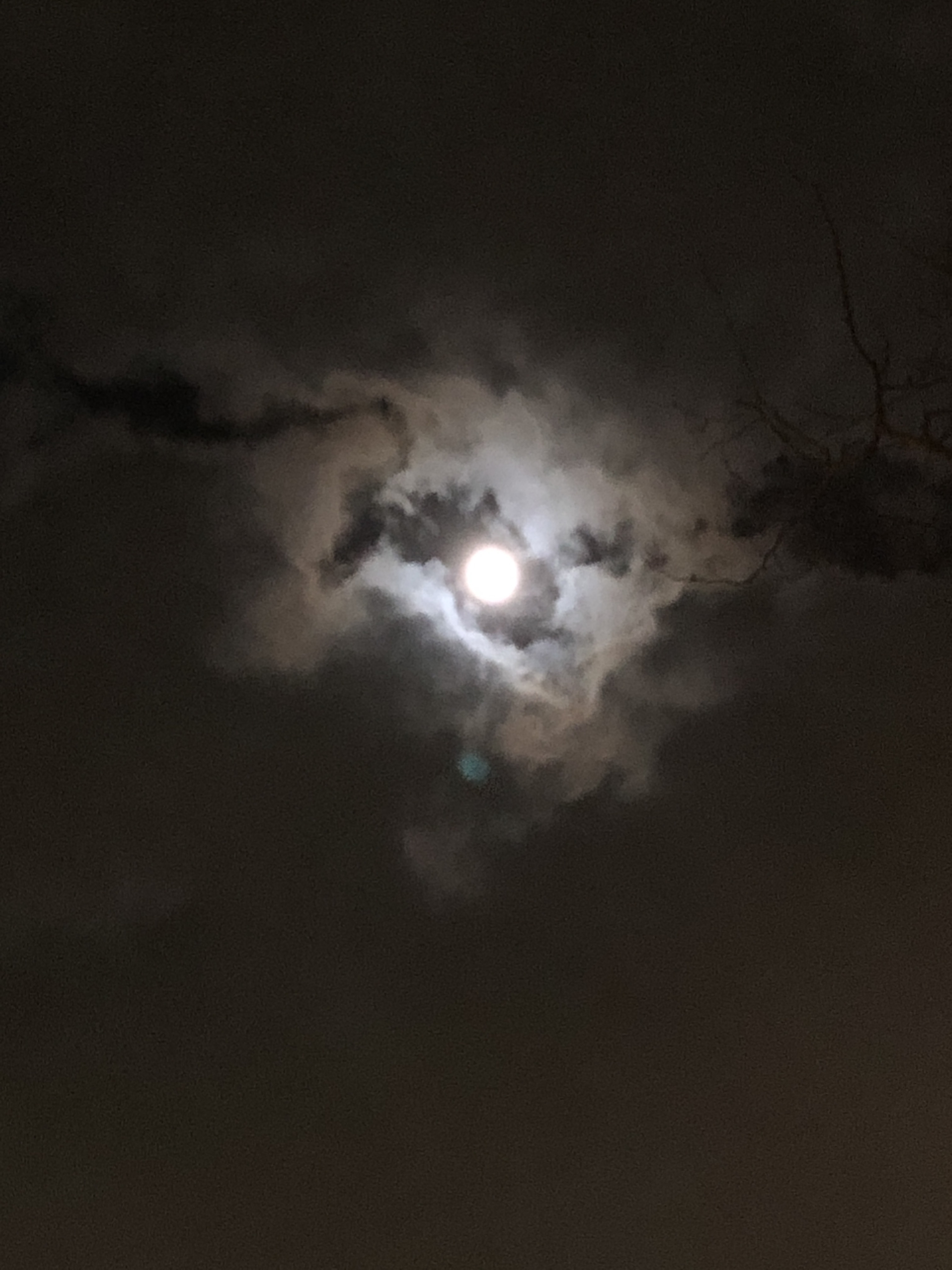 たかみー 金運上昇チャンネル 今日は満月ですね 福岡は曇りでしたが 雲と雲の間から お月様を見ることが出来ましたよ ただ曇りでもお財布フリフリで 浄化されますので ぜひ今年最後の満月を楽しんでくださいね T Co 2jtdutuyzc Twitter