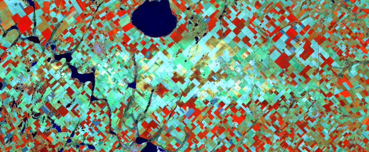 joacolascombes's tweet photo. El impacto del granizo en los campos de Villa Cañas y Saguier/San Francisco visto por Sentinel 2 del 17-12-21

@CopernicusLand @NicoRidley @bertellof @julianimhoff @Nachoimhoff https://t.co/jOUcwtneXT