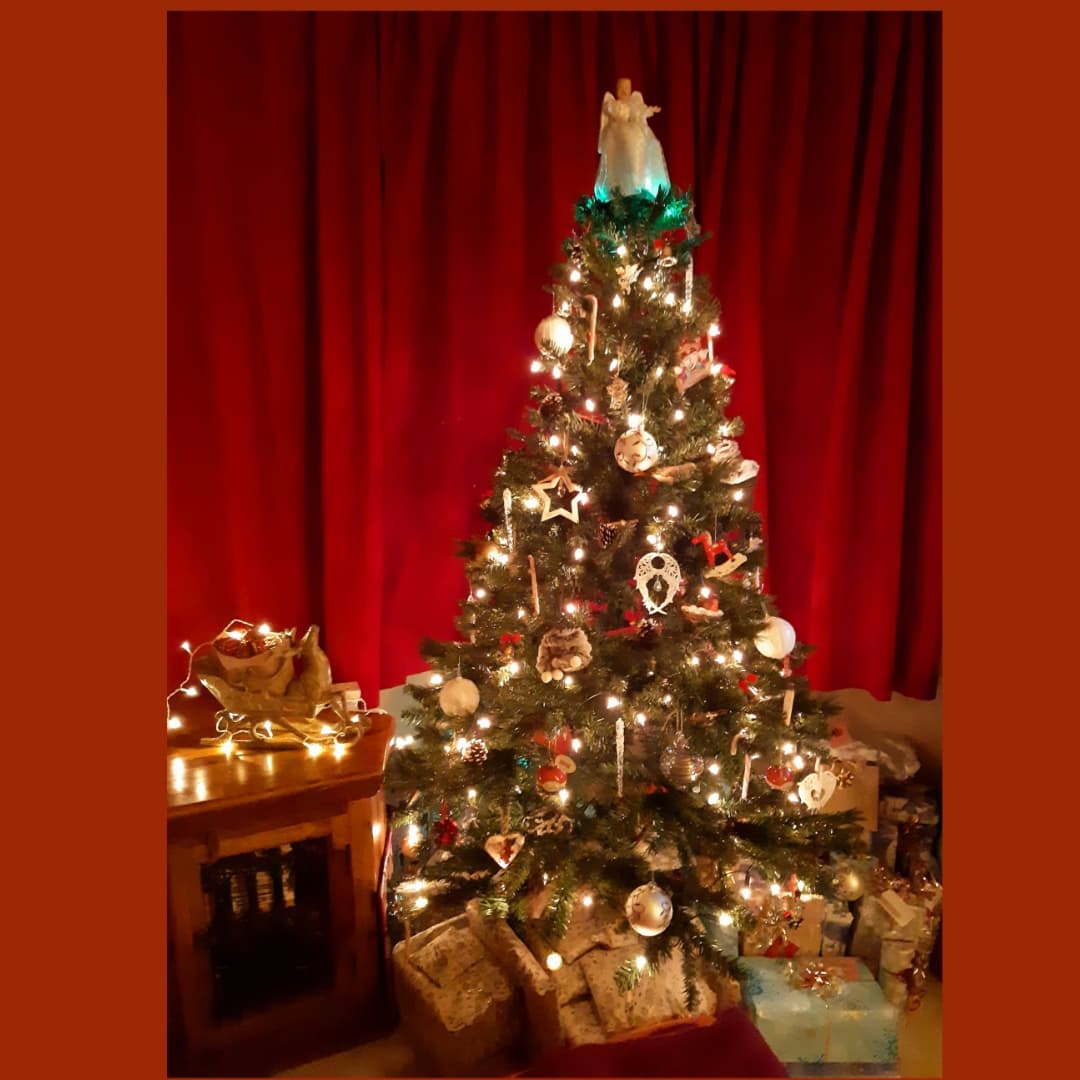 hayleyed74's tweet photo. As #paulogrady said on #SaturdayNightLineUp he prefers more #traditional #christmastrees I thought id share mine. Not the greatest photo but you get the gist lol #lovechristmas #Christmas2021 https://t.co/c8gNNyMo7M