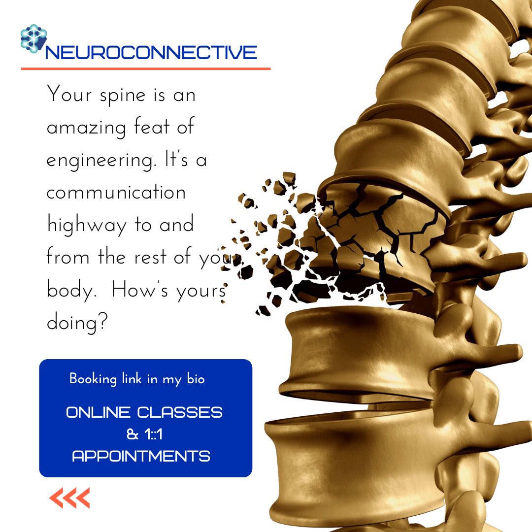 Bev The Neuromuscular Therapist. (@neuroconnective) / Posts / X