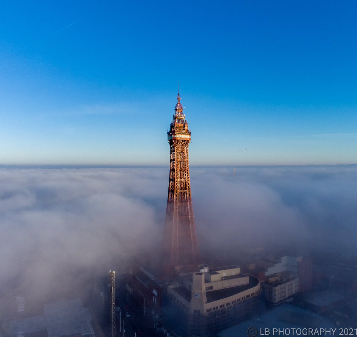 📷 L.B Photography 📷 tweet media