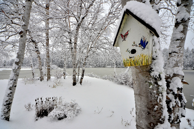 Liberty Security - A GardaWorld Company tweet media