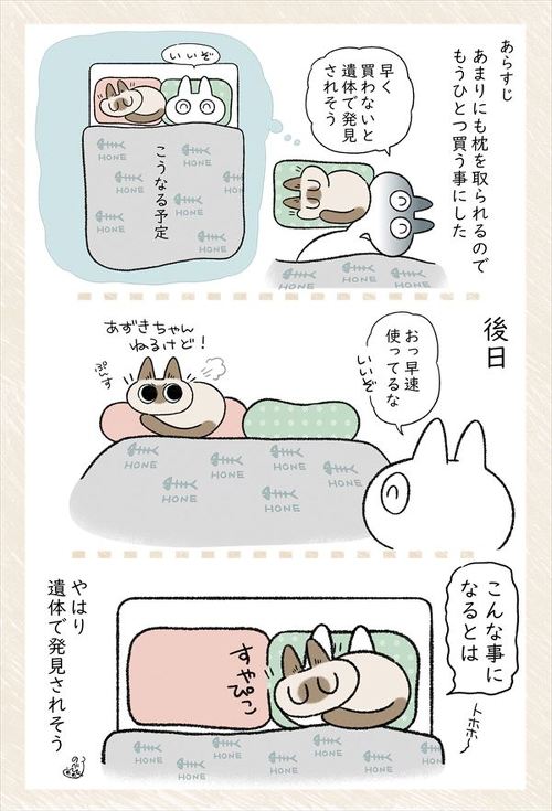 猫に枕をとられるので、猫用枕を買ったけど…… 「やはりそうなる」猫と寝る"あるある"を描いた漫画が面白い https://t.co/tZxBXAv4ZY @itm_nlabより