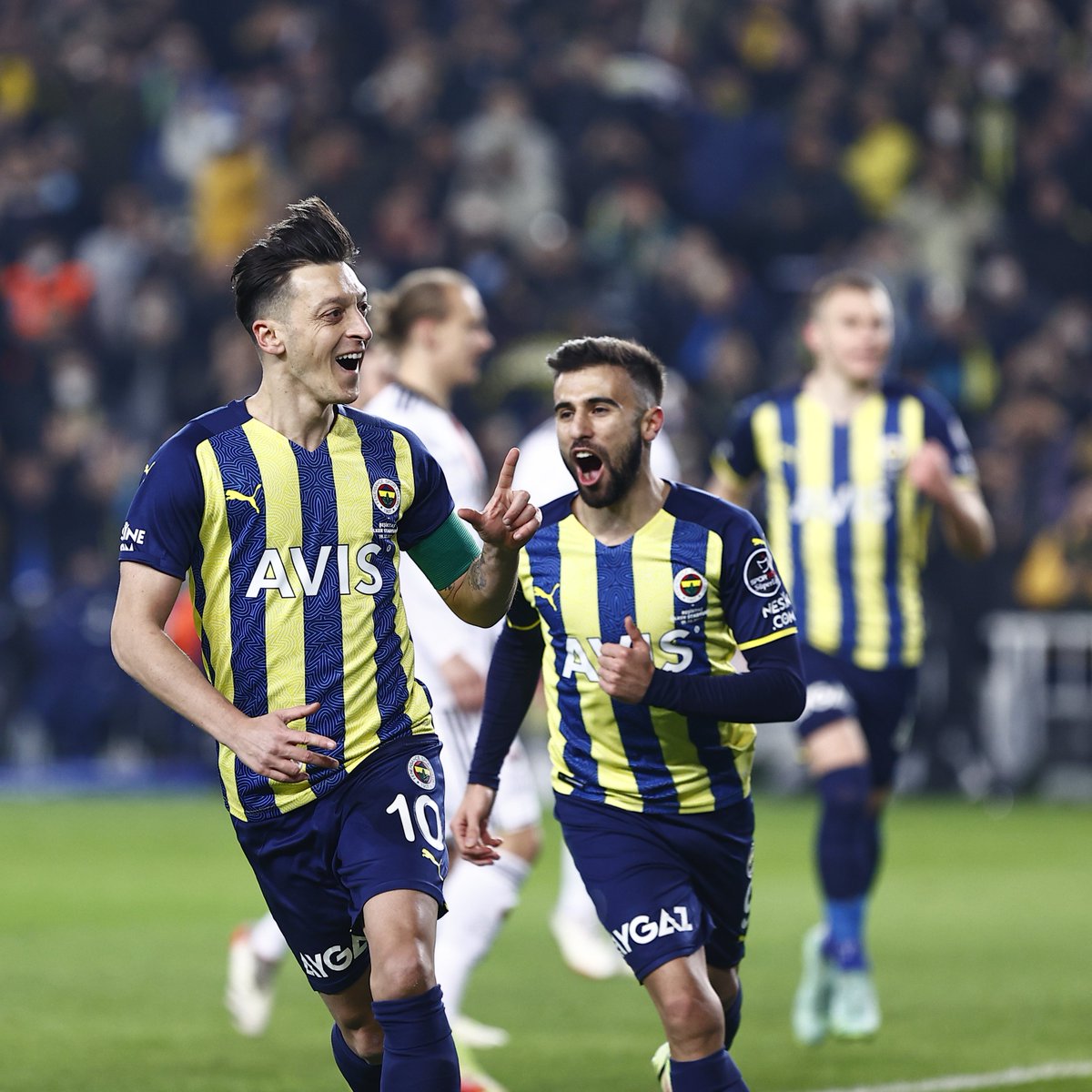hamit yuksel hamittyuksel twitter