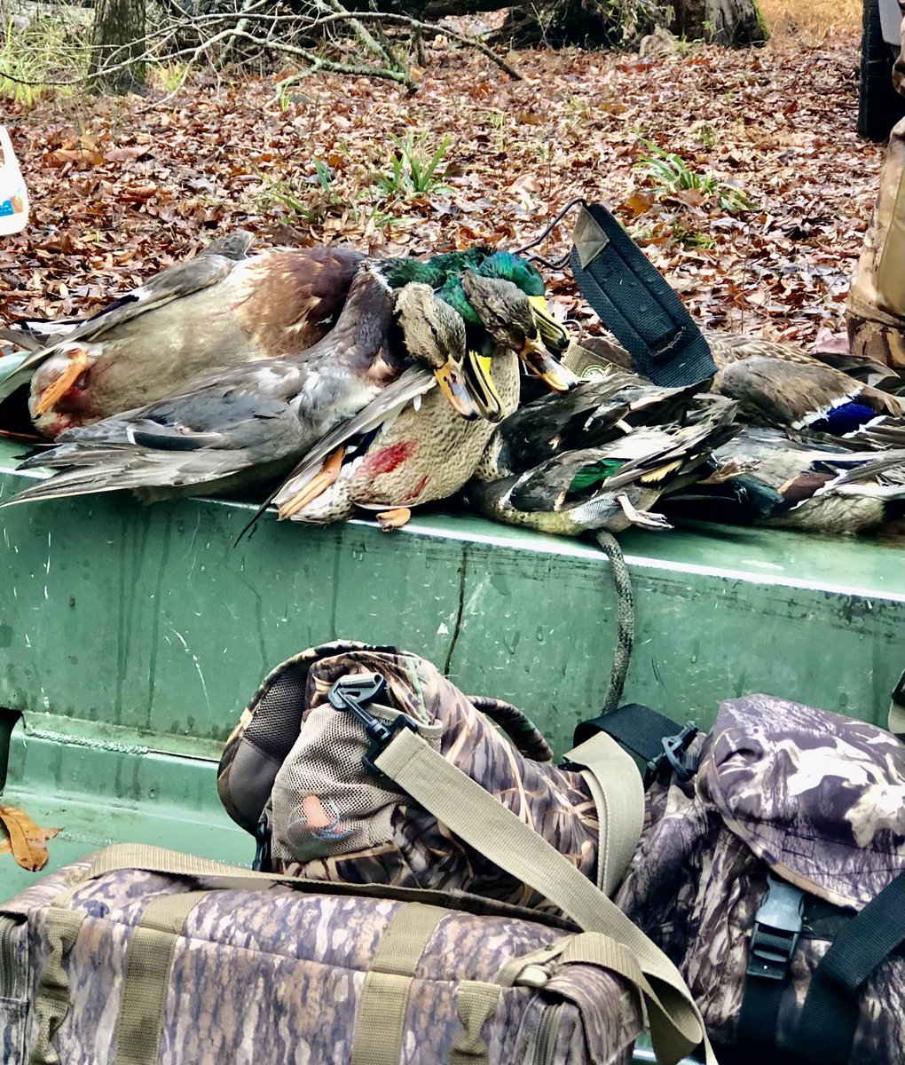MayorJohnHolden's tweet photo. Another good day #timberhunting in Stuttgart, Arkansas. #slickshuntinglodge #stuttgarthuntingclub https://t.co/Utw5o5X1Lm