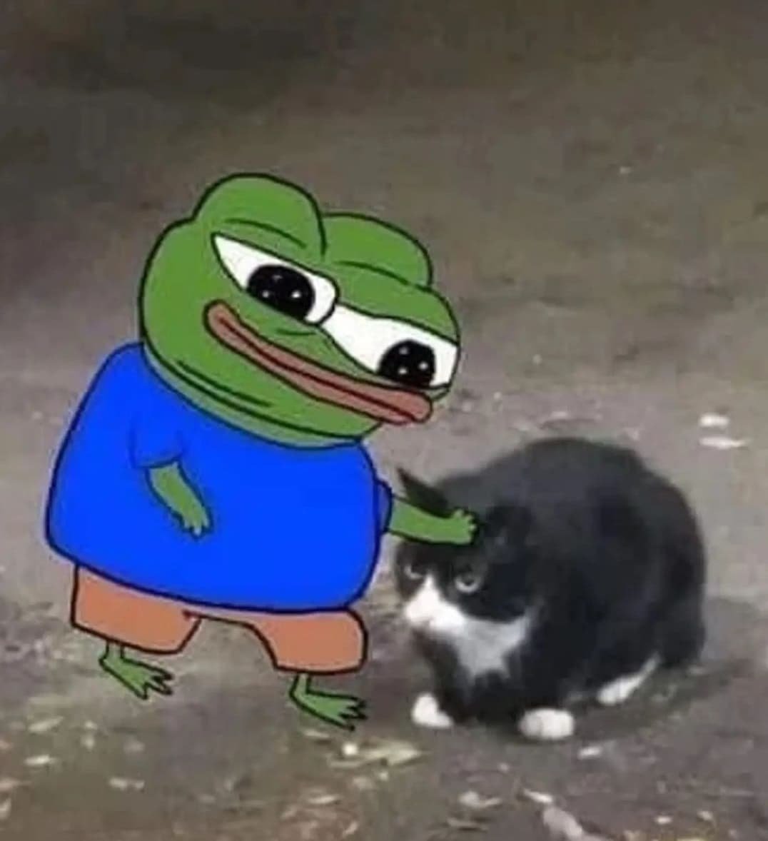 My ultimate purpose of life is to pet every single cat that I met