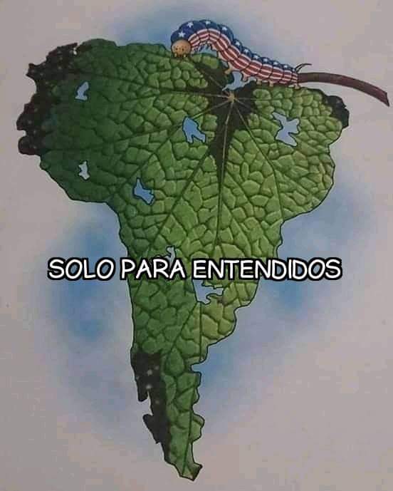 JuanCar28066053's tweet photo. @CastrismoOf Eres pobre, pero de convicciones e ideas. #CubaVive https://t.co/L0cLW0471H