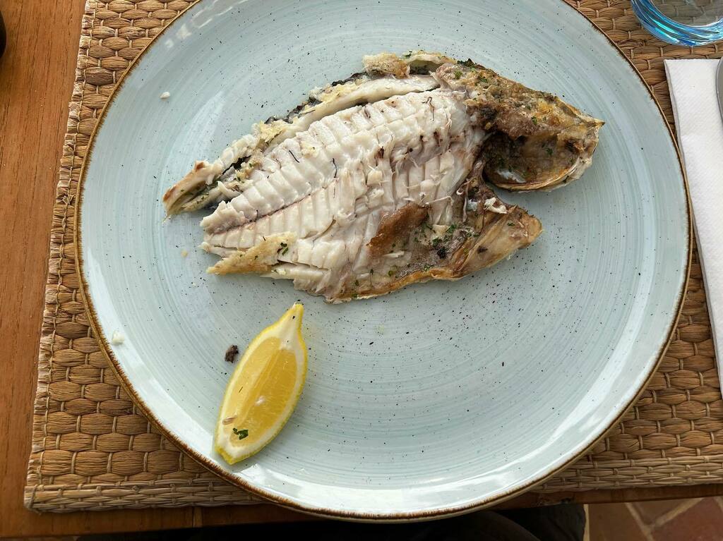 Timothy_Hughes's tweet photo. Silver Bream - Benagil beach #algarve #benagil #benagilbeach #portugal #algarveportugal #visitportugal #visitalgarve #hpbmoments #lunch #lunchideas #lunchtime #silverbream @opescadorbenagil https://t.co/MMvBxCRK9B https://t.co/f61ZA1g8e9