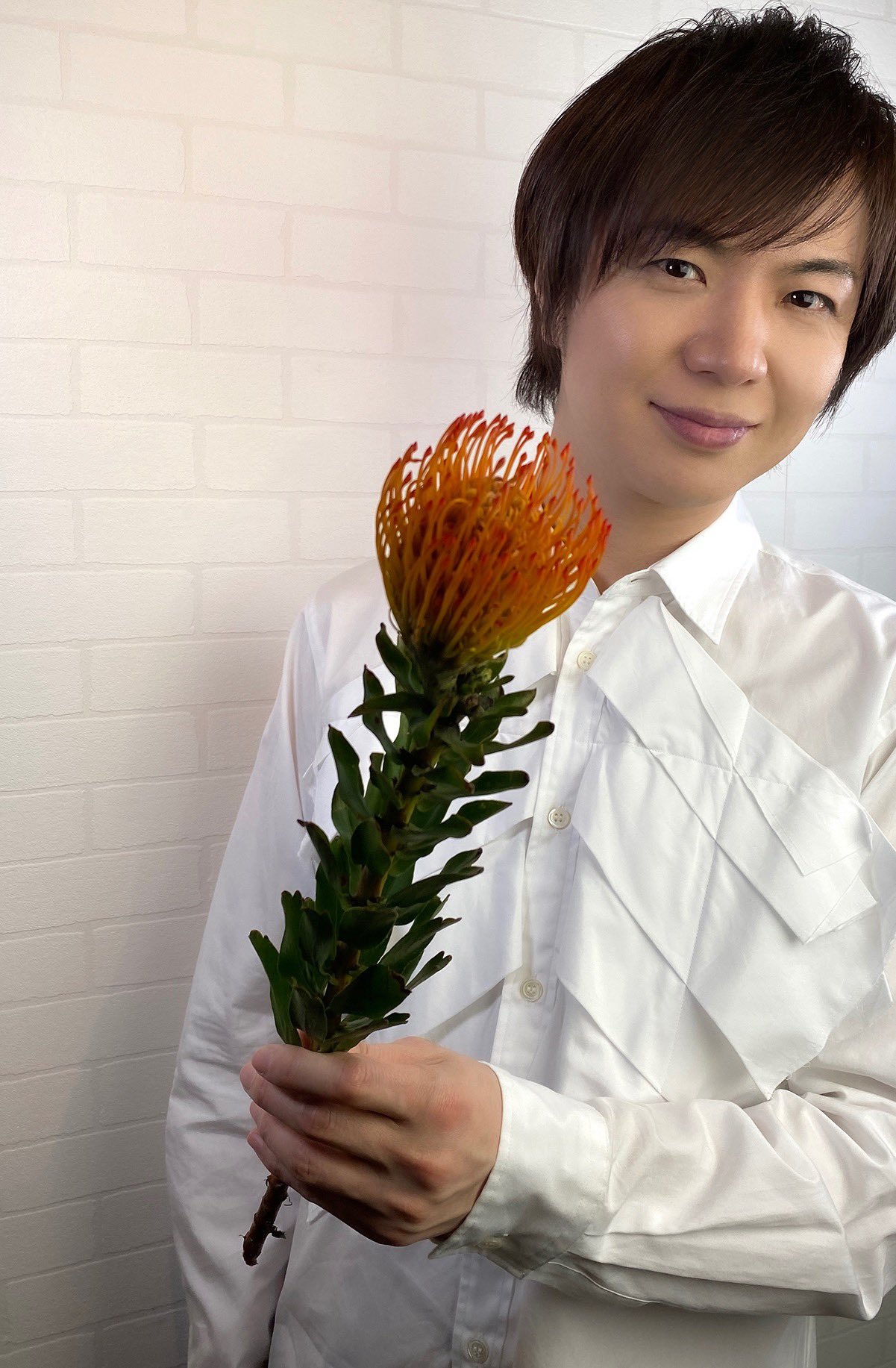 竹島宏スタッフ 公式 ピンクッション 花言葉は ふりそそぐ愛 南アフリカ原産のワイルド フラワー とても個性的 また今夜もこんな時間に 遅くなってごめんなさい 今日も１日お疲れ様でした ひろネット 花便り 花言葉 花 花を贈ろう