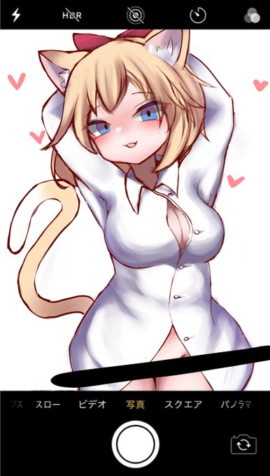 キョウゲにゃん 