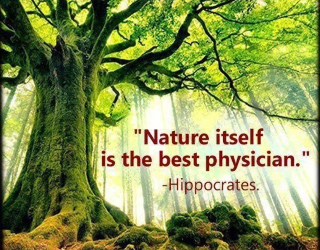 MariyamMunsha's tweet photo. The Bachelor of Eastern medicine and surgery (BEMS) is the best degree in oriental and herbal medicine.
#BEMSRIGHTs
@nhsrcofficial
@hecpkofficial
@PHC_Punjab https://t.co/1TrWZSTiZy
