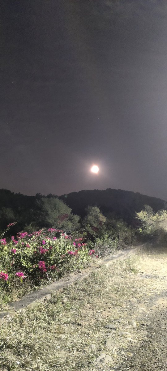 Rabipandacug's tweet photo. The Most tiring day ends with some sparkling beauty!!
#NaturePhotography
#MagnificentMP
#naturelovers
#FullMoon
#WorkLifeBalance
#ଦାଦନଜୀବନ
@SKDAgriMan @lokipalauri @Beautyrgda https://t.co/FBXBQ08860
