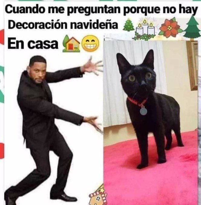 😸😸😹