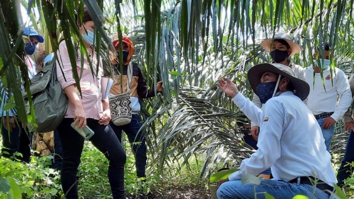 nwpnederland's tweet photo. How #Colombia is improving #waterefficiency in the #palmoil industry: https://t.co/lWLWMwlHlw. #PartnersforWater #agrifood #sustainability #waterefficiency
@HollandWater @RVO_Int_Ond @NLNetherlands @NLinColombia @joepjanssencom https://t.co/bSG67nOuvy