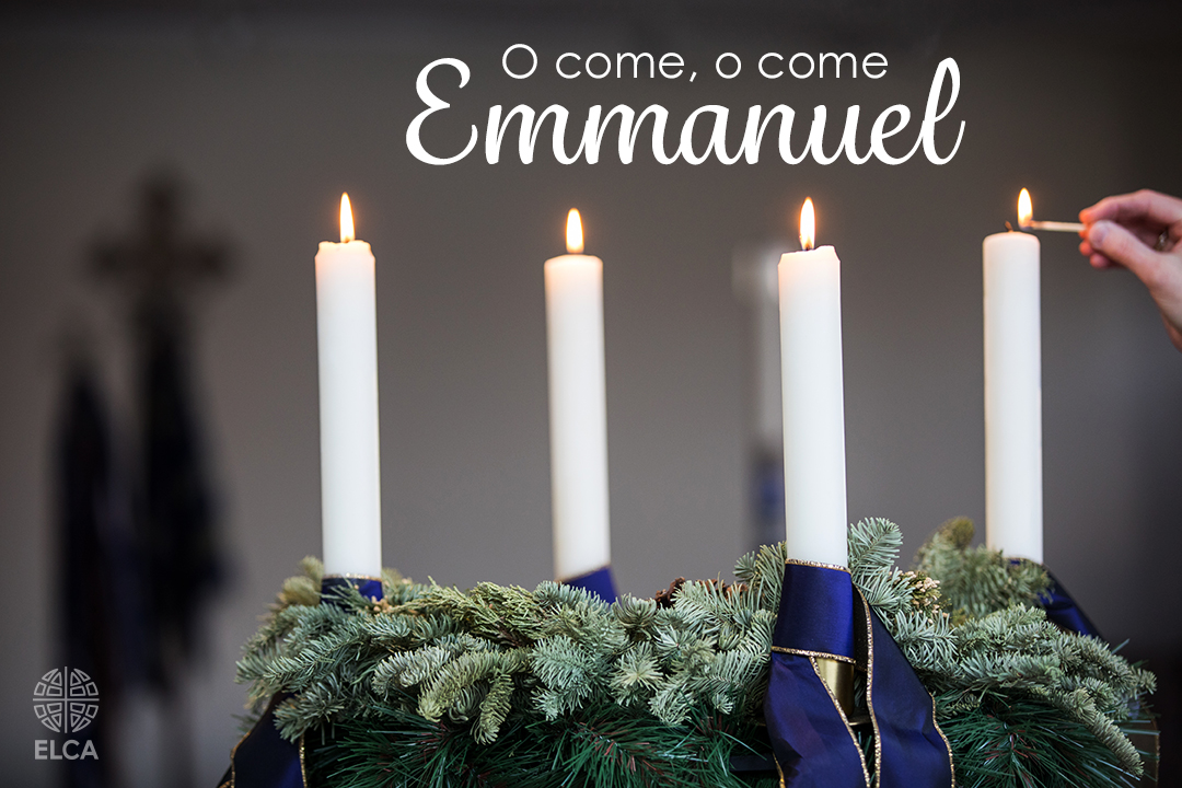 Today is the fourth Sunday of Advent. "As we light these candles, turn again to us in mercy; strengthen our faith in the word spoken by your prophets; restore us and give us life that we may be saved" (Bread for the Day, p. 391).