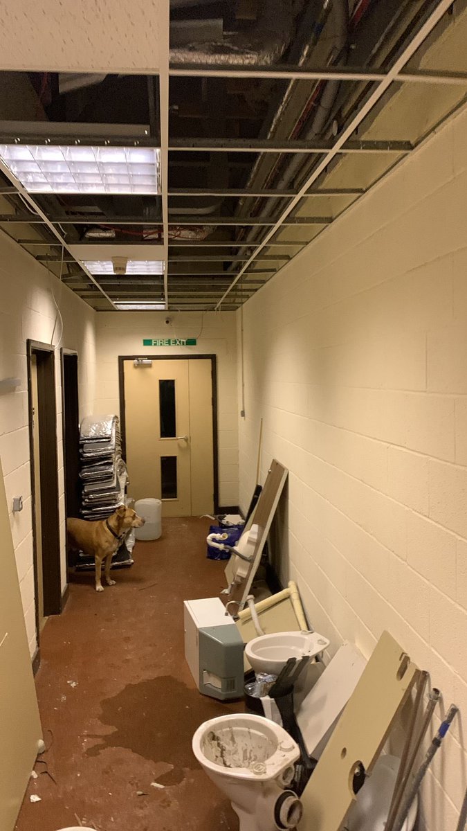 EcomFTTP's tweet image. Looks a right mess at the moment but our new offices at @CreslowPark are coming along nicely all ready for a raft of new staff members in 2022.