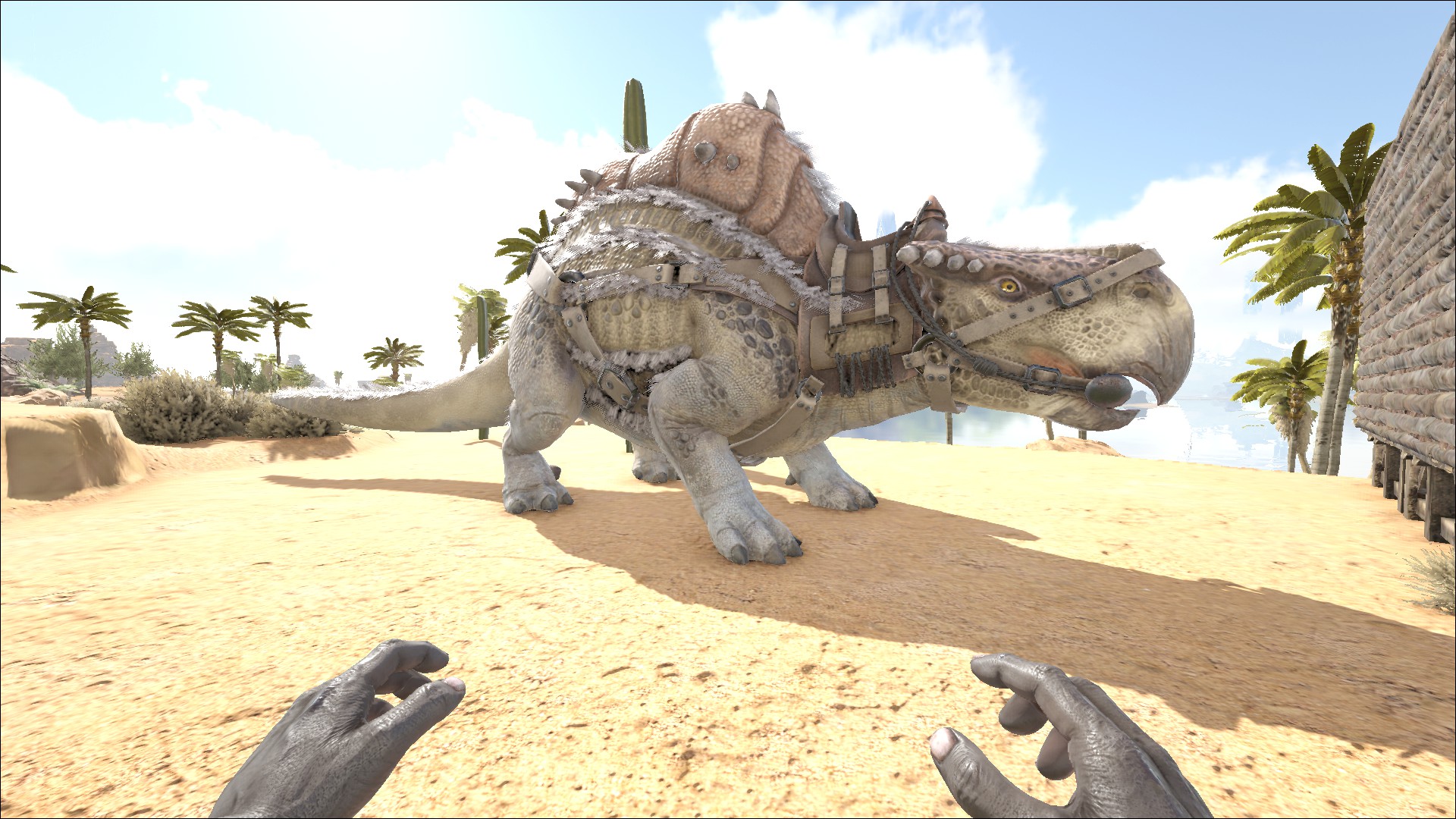 魅惑色のぱんだ Ark ぱんだ ロストアイランドに降り立つ ローカルで軽く見て回って良さそうだなって場所は大体取られてたので砂漠エリアに仮拠点設置 150モレラと3匹のわんこをとりあえずテイム 眠気がやばかったのでそこまでで今日は落ち ゆったり
