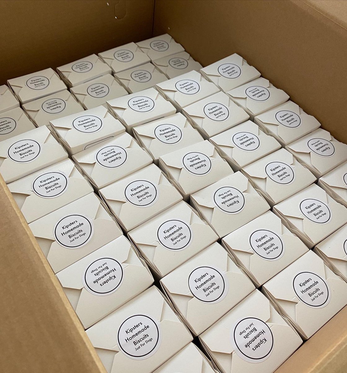 kipstersbiscuit's tweet photo. Last minute order so I’d better get started transforming these into 150 welcome boxes
#kipsters #welcomeboxes #htlmp #MHHSBD #happychristmas #dogsoftwitter https://t.co/t7nOP4FzNK