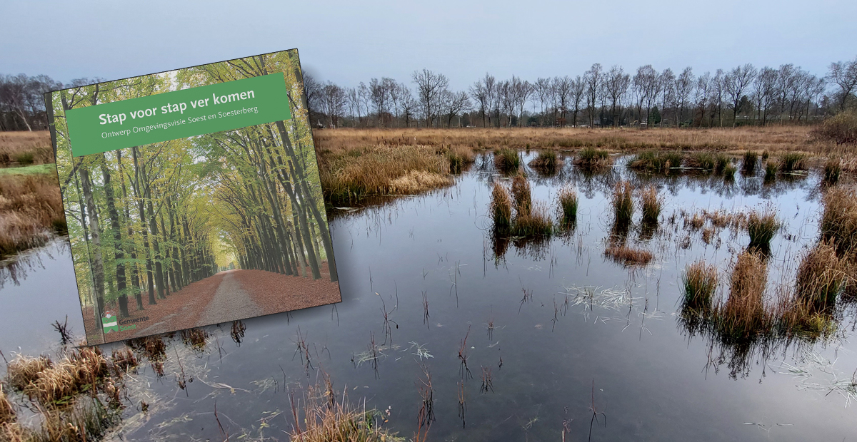 Wegens de condoleance bij het overlijden van raadslid Fred Heidinga is de raadsvergadering over de #omgevingsvisie Soest een dag eerder dan gepland. 
Komende dinsdag is te zien welke partijen hart voor het Soester Hoogveen hebben en welke partijen dit natuurgebied laten vallen.