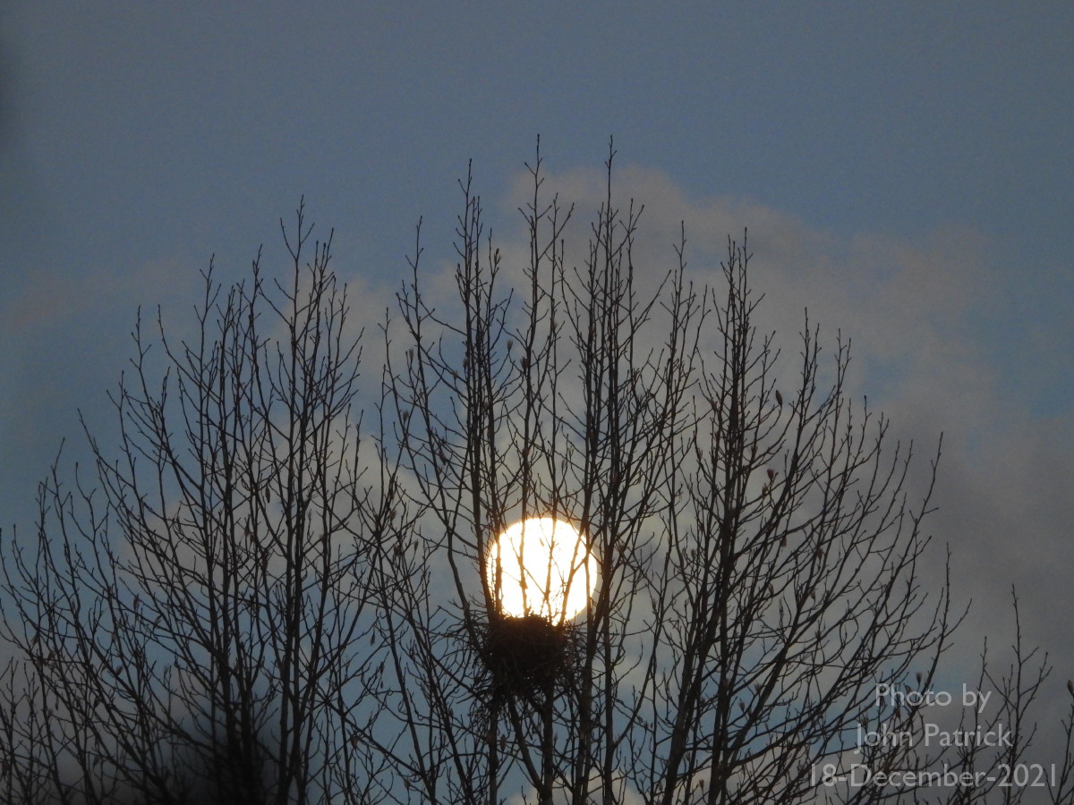 JStCPatrick's tweet photo. A strange egg in the nest in the tulip tree across the parking lot from my balcony.
Photographed at UBC, Vancouver.
#fullmoon #strangebird #eveningsky #decemberfullmoon #moon https://t.co/Sy0YHuKczc