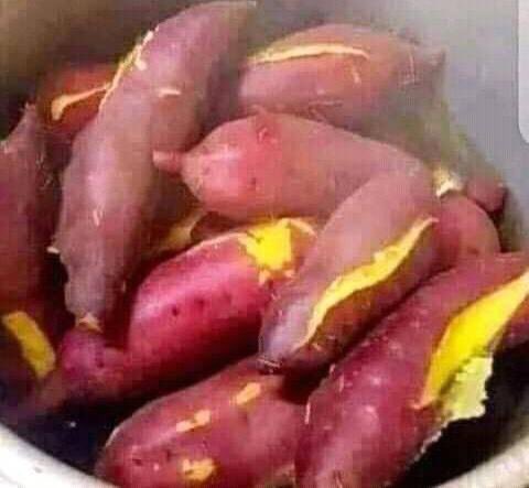 SokoAnalyst's tweet image. This slaps very different for breakfast…