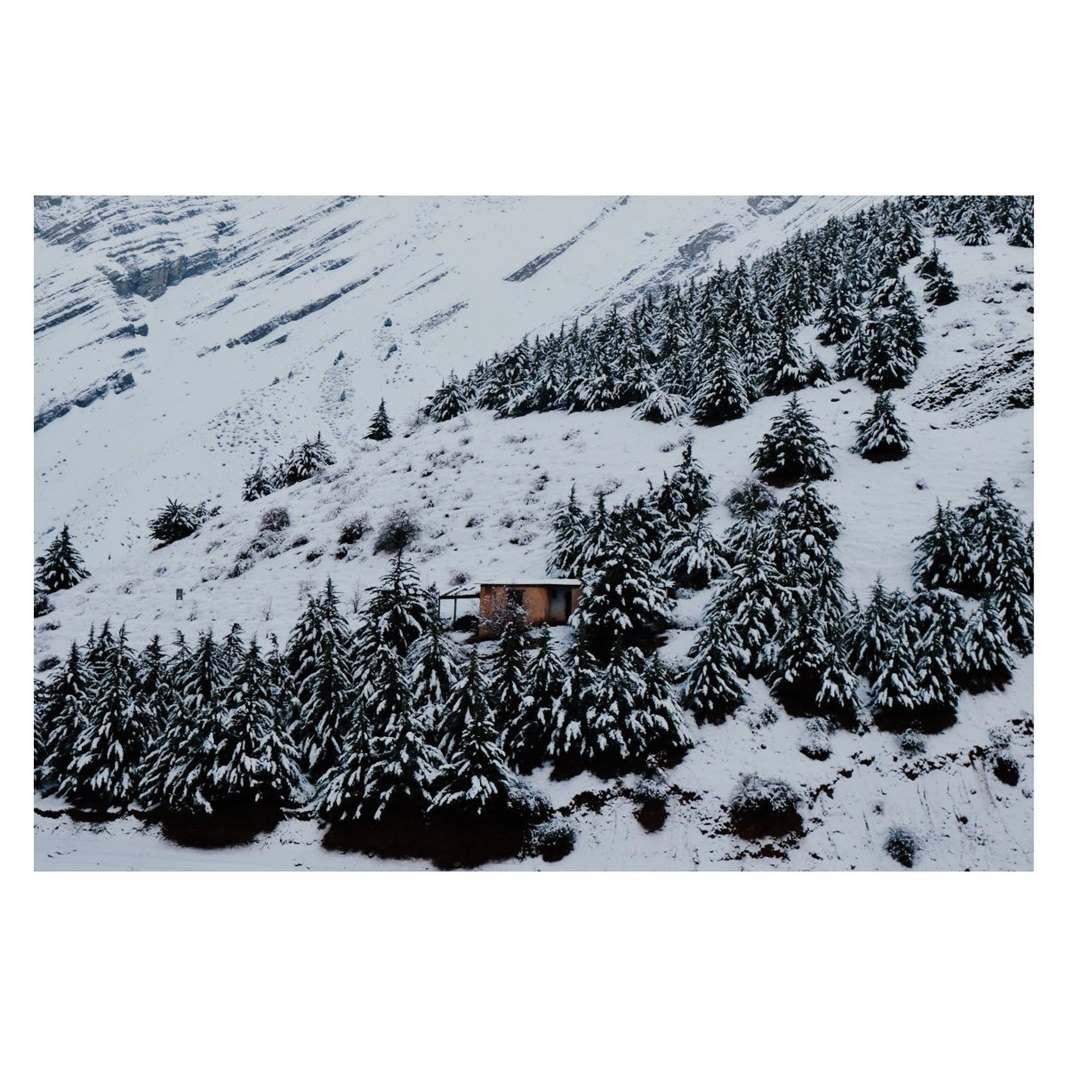 لوکیشن:جاده چالوس
#photooftheday