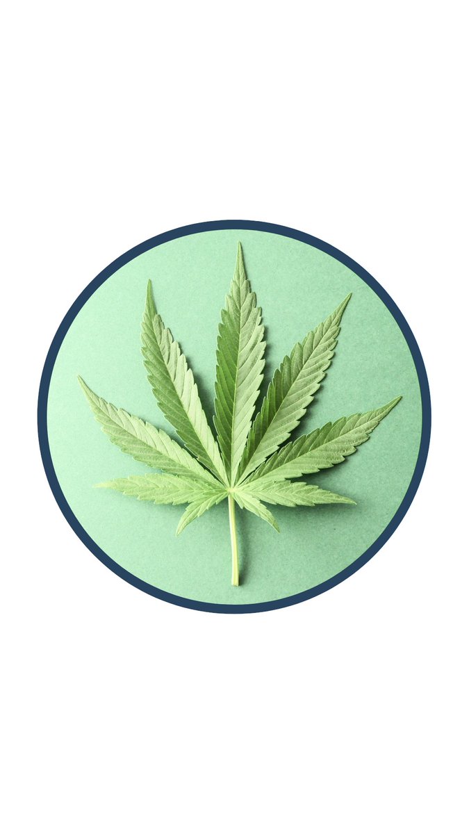 ACFER01's tweet photo. #Ayurcann CSE: $AYUR FY21 30Jun end: ▲in #revenue = ~ $7m = ▲1,149% vs FY20. While, #OperatingIncome = ▲to >$2m. #Legalisedcannabis enables expansion & good margins for Co & investors. #ACFResearch https://t.co/Ut6BDf5hZW @ayurcann @charlottesweb https://t.co/4Zd4G3qqLV